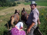 V Banátu (Rumunsko) každoročně pomáhají mladí lidé na Prázdninách s Brontosaurem našim krajanům - tamním starousedlíkům se zemědělskými pracemi, řemesly nebo péčí o zvířata. (Foto Martin Koudelka)