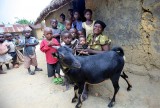 „Skutečný dárek“ od společnosti Člověk v tísni: Koza dokáže zachránit životy dětí a zlepšit živobytí celé rodiny