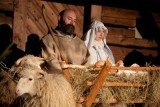 Živý betlém a lidová hra o narození Ježíše podle Evangelia sv. Matouše ve Valašském muzeu v přírodě v Rožnově pod Radhoštěm